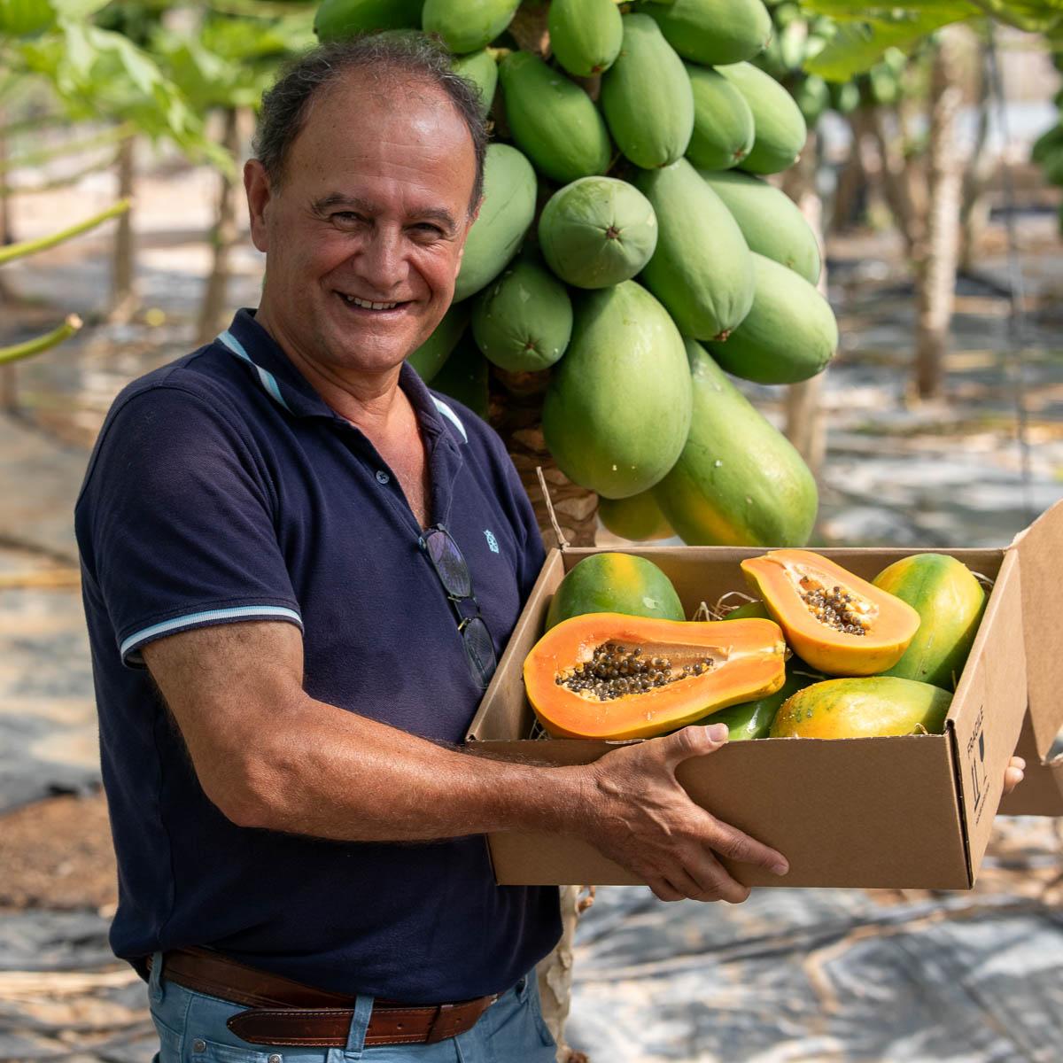 Papaya Sensation