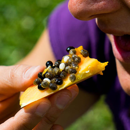 Papaya Sensation
