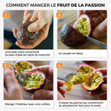 Fruit de la passion jaune (maracuja) sucré
