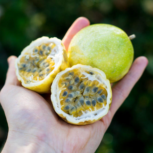 Passionfruit Yellow (maracuja)