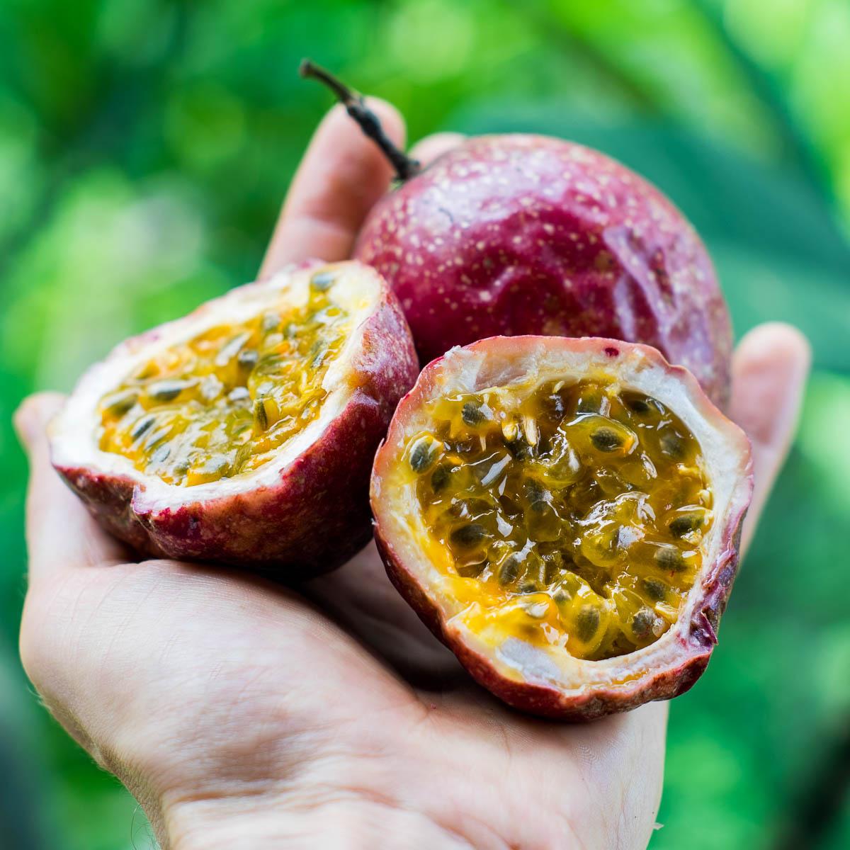 Passionfruit purple