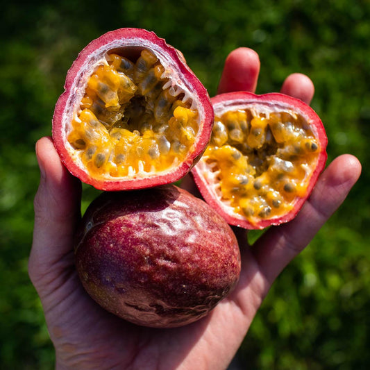 Passionsfrucht rot