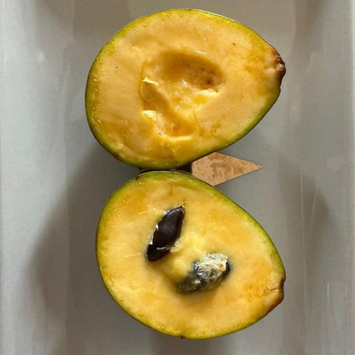 Pawpaw