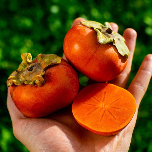 Kaki Apfel Fuyu