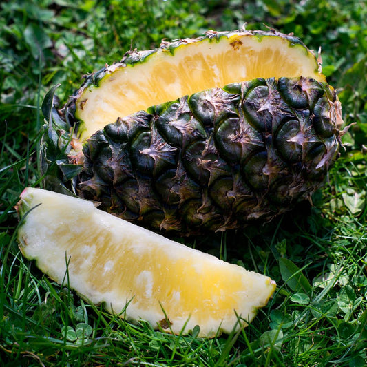 Pineapple Cayenne Bonbon