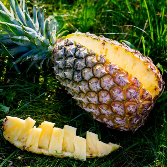 Ananas Cayenne