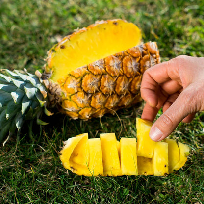 Pineapple Extra Sweet