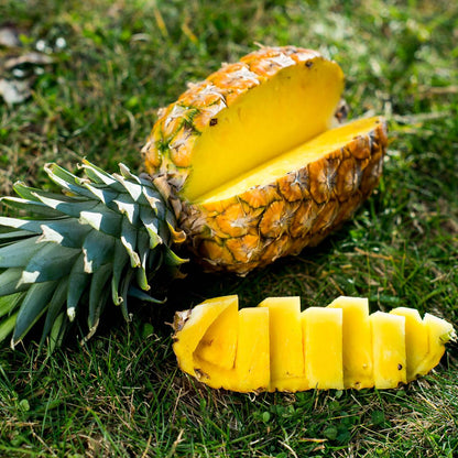 Pineapple Extra Sweet