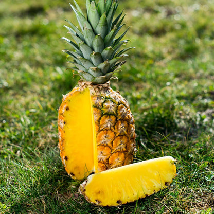 Pineapple Extra Sweet