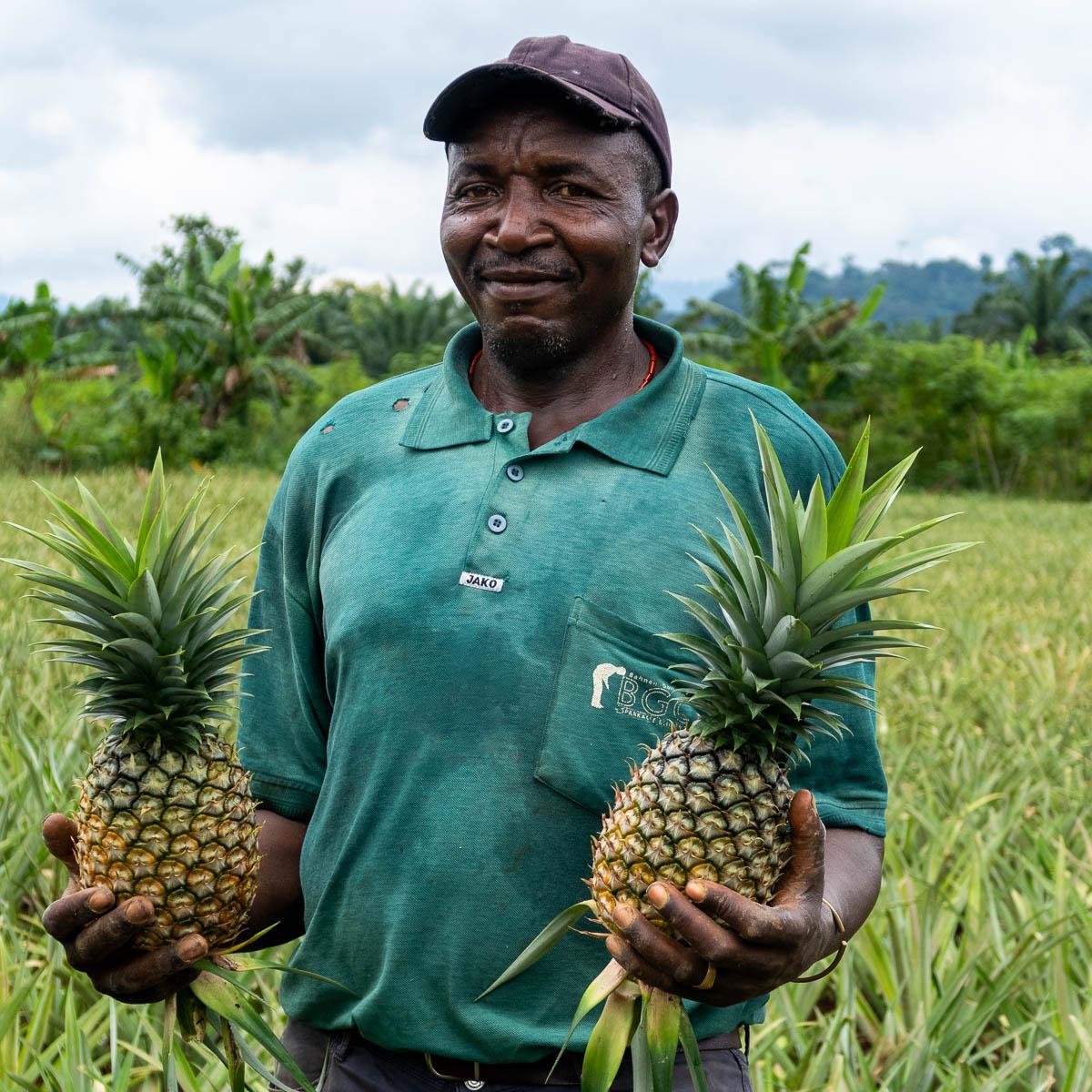 Pineapple dried