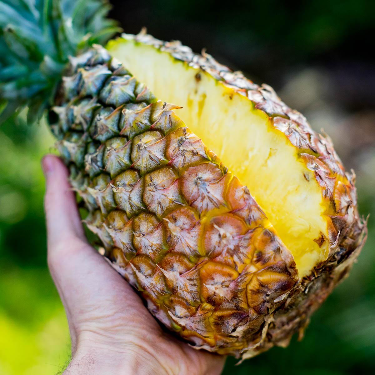 Pineapple dried