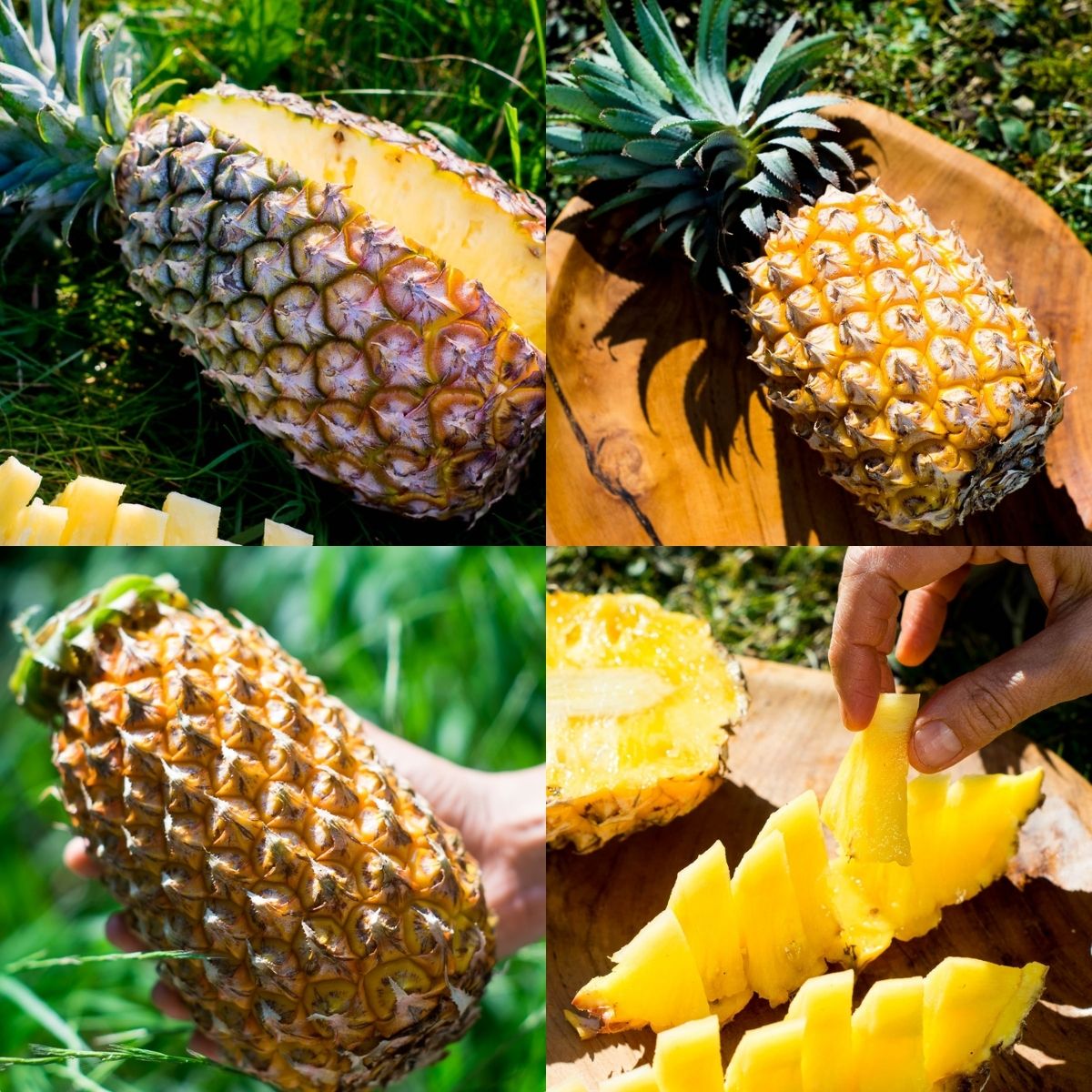 Pineapple Mix Box