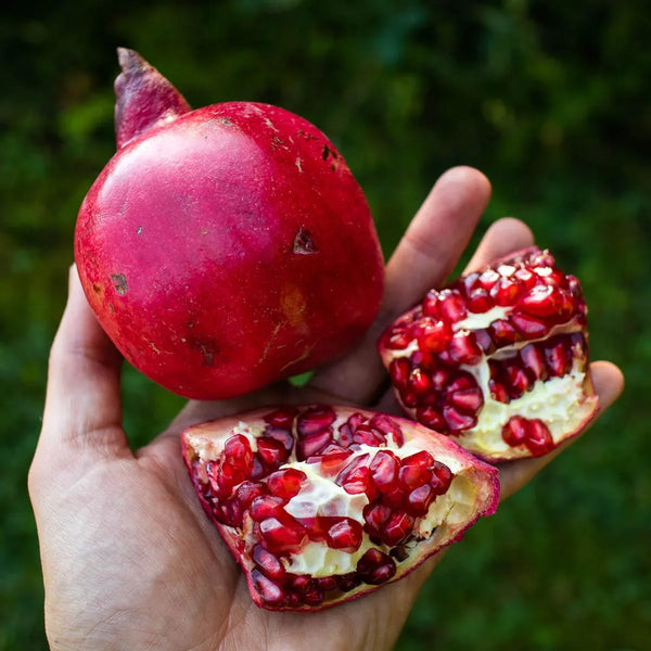 Pomegranate Ruby