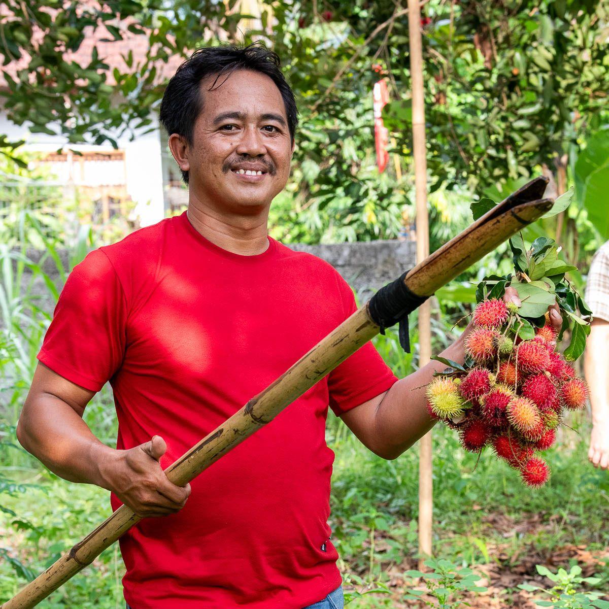 Rambutan