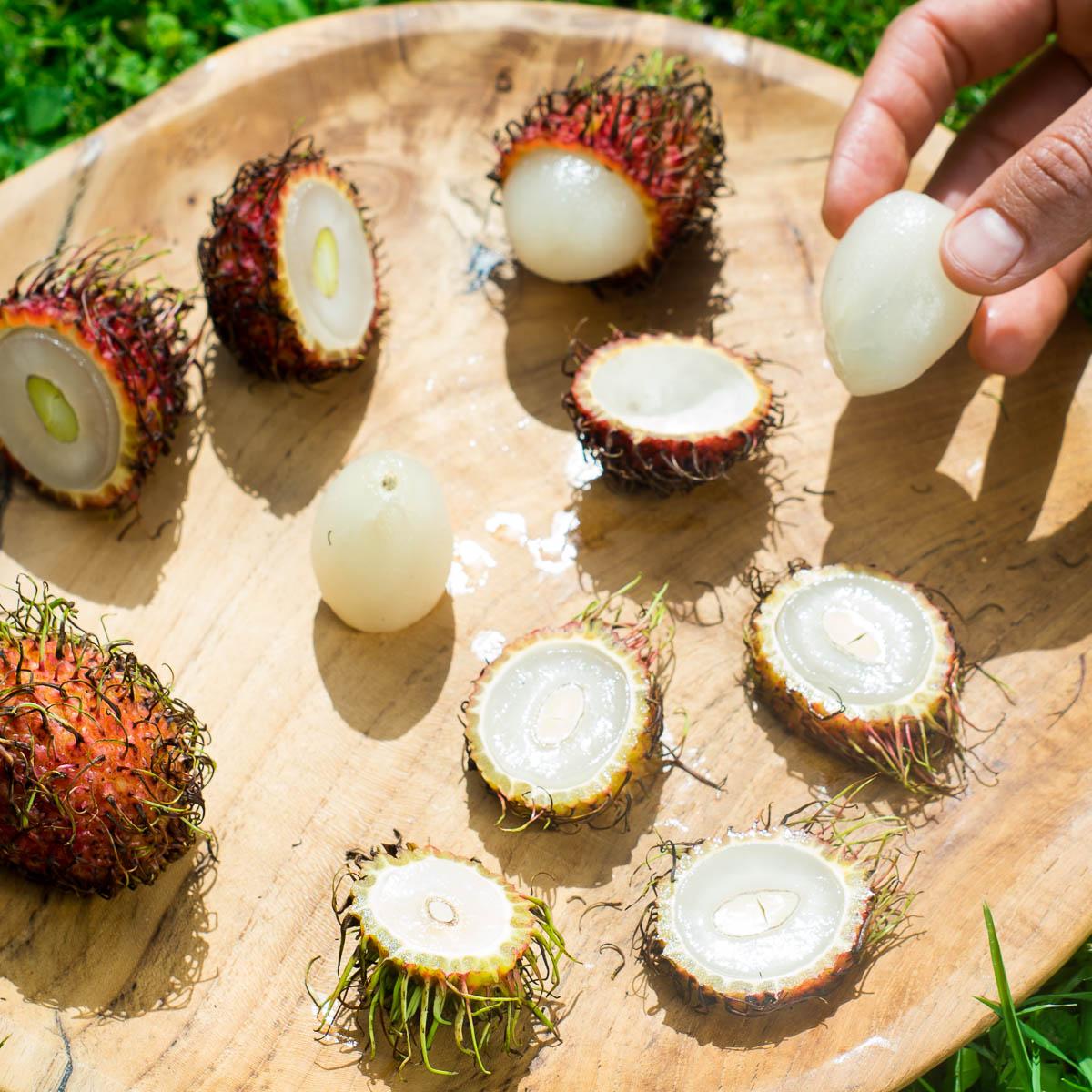 Rambutan