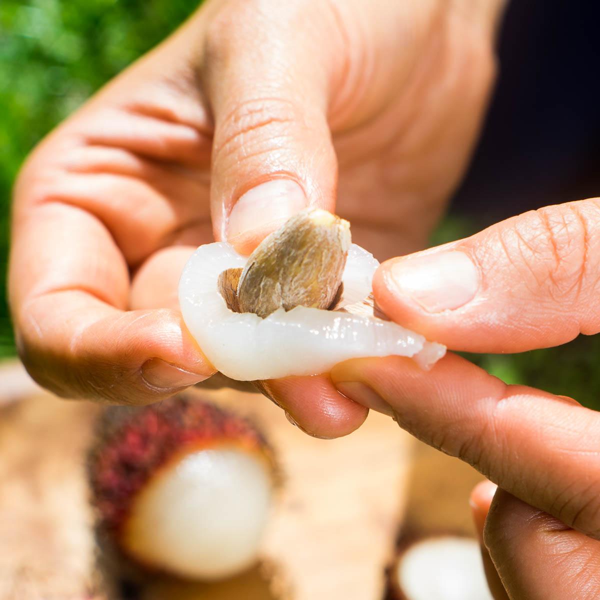 Rambutan