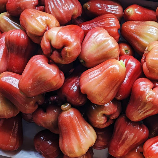 Rose Apple