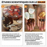 Salak (Fruit du Cobra) Honey