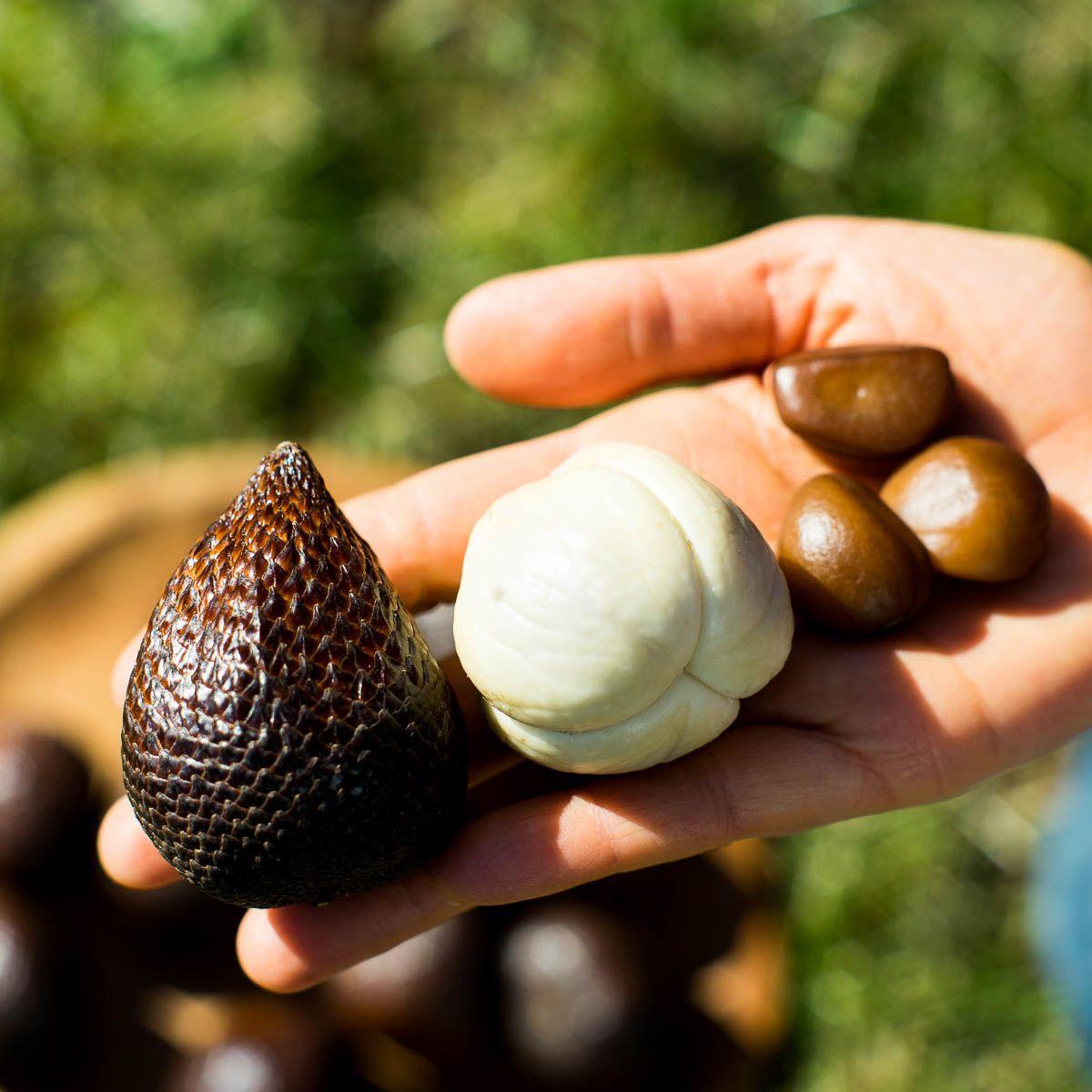 Salak Honey