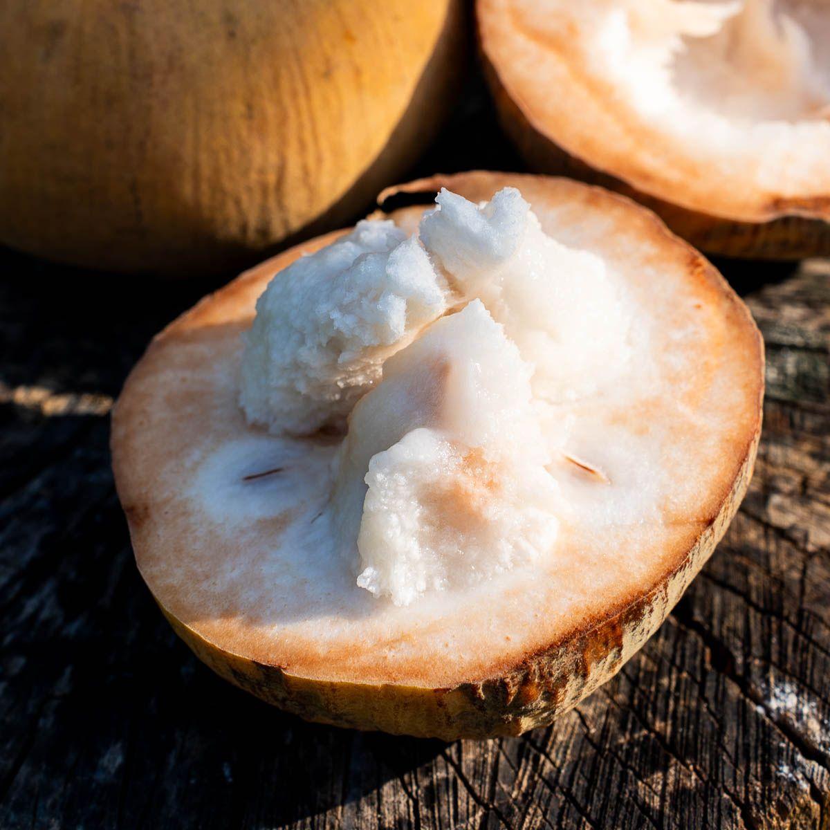 Santol