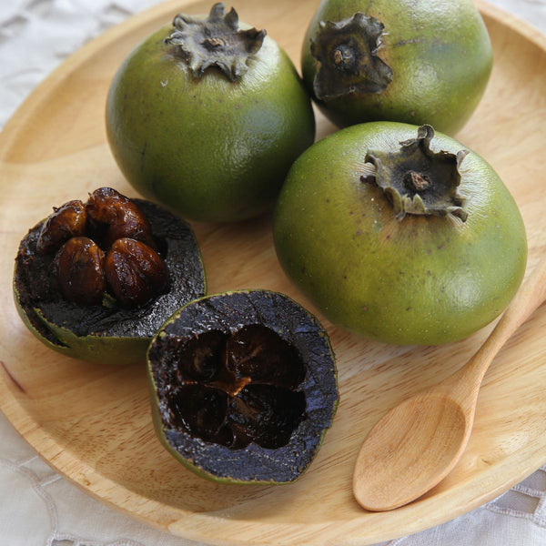 Sapote Negro