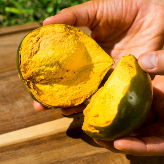 Sapote Lucuma
