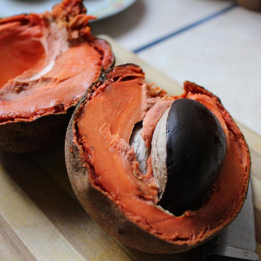 Sapote Mamey