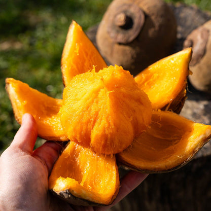 Sapote Chupa