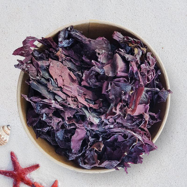 Seaweed Dulse dried