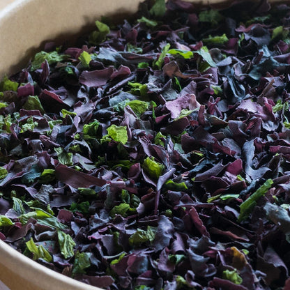 Seaweed Ocean Salad dried