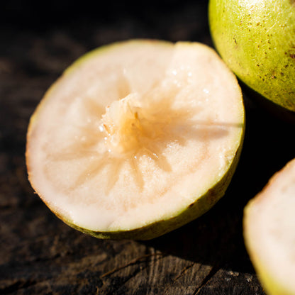 Milk Fruit (Star Apple) Crystal