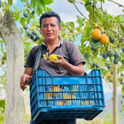 Sweet Granadilla