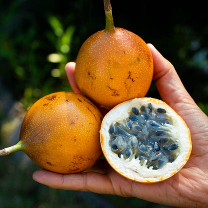 Sweet Granadilla