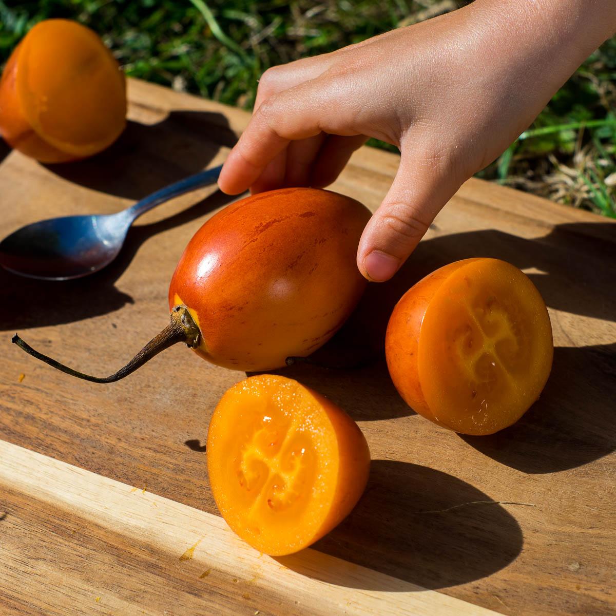 Tamarillo
