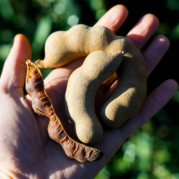 Tamarind sweet