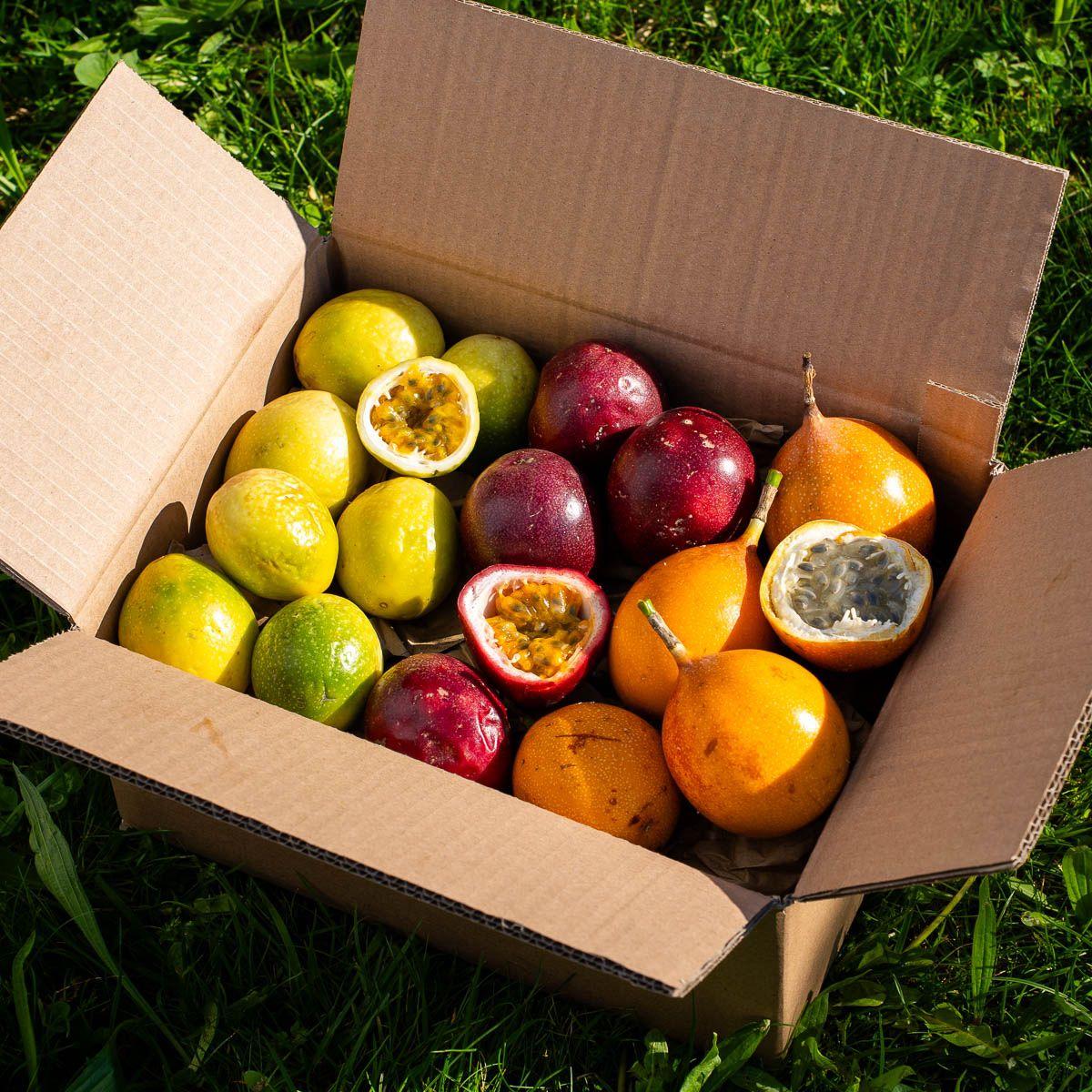 Triple Passion box