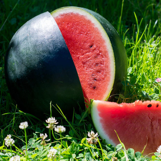 Wassermelone