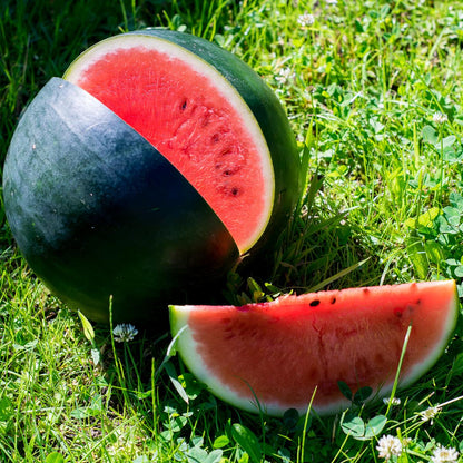 Wassermelone