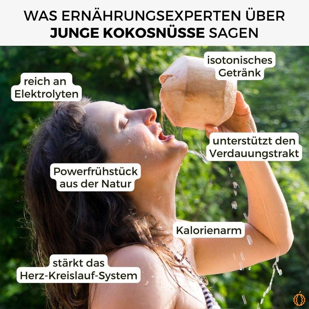 Junge Frische Trink Kokosnuss – Rettungsaktion