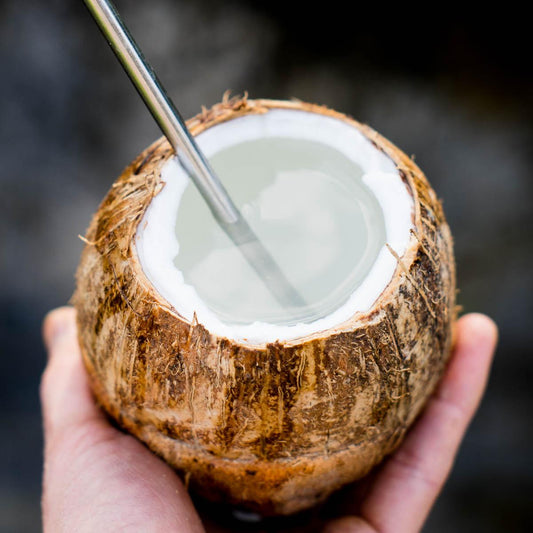 Young Coconut