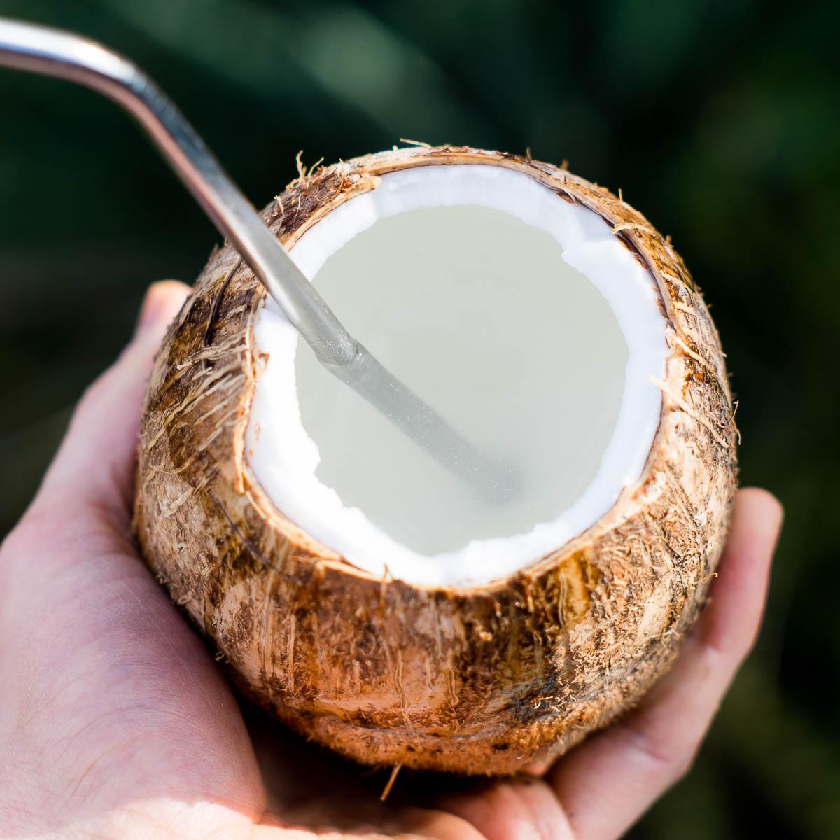 Young Coconut