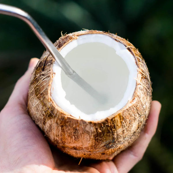 Young Coconut