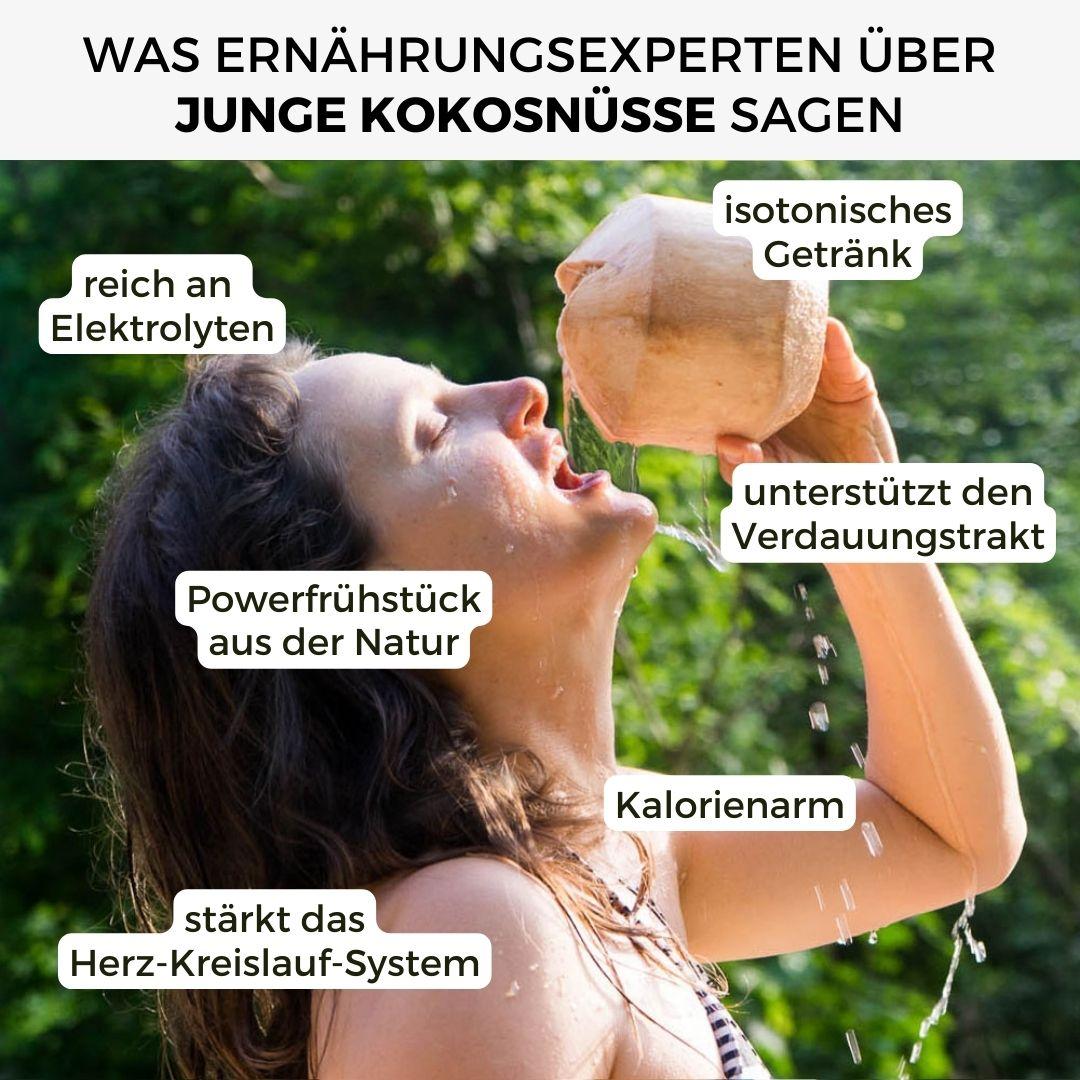 Junge Frische Trink Kokosnuss Pagode