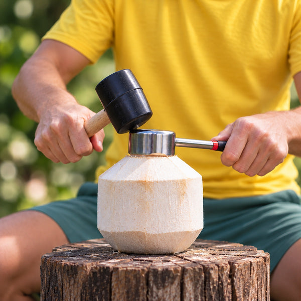 Coco Jack (Coconut Pagode Opener)