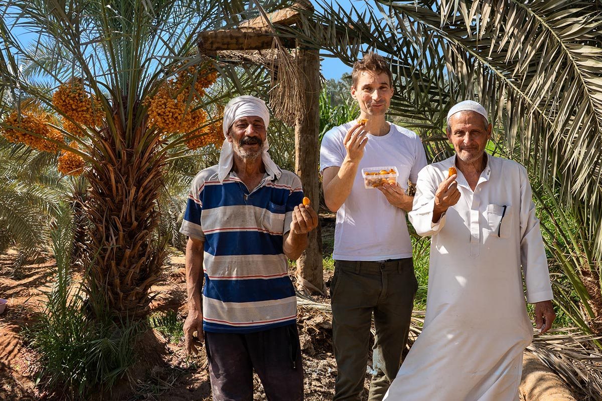 Geoffrey, Mitgründer von Jurassic Fruit, probiert Datteln mit zwei unserer Erzeuger unter Palmen in Ägypten