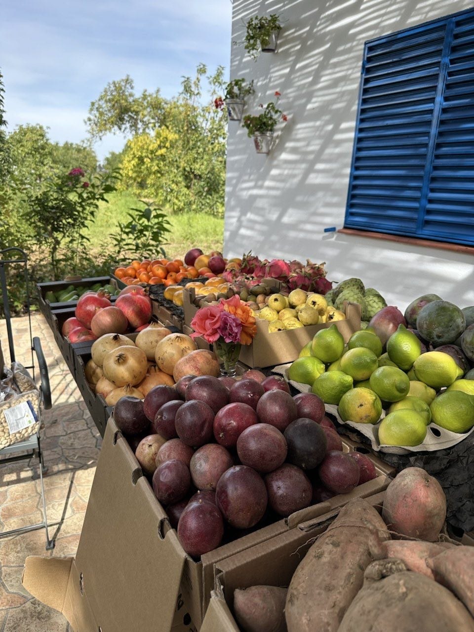 Des caisses de grenades, de fruits de la passion, de limes, de mangues et de patates douces devant une maison blanche aux volets bleus